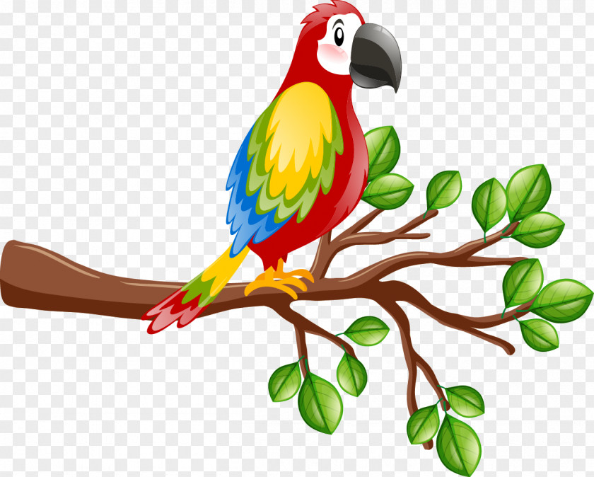 Parrot On A Branch Bird True Peregrine Falcon Euclidean Vector Macaws PNG