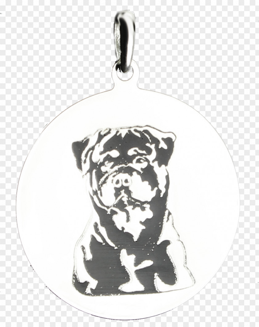 Religious Style Chandelier Pug Puppy Dog Breed Drawing Snout PNG