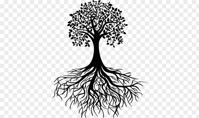 Tree Root Drawing Clip Art PNG