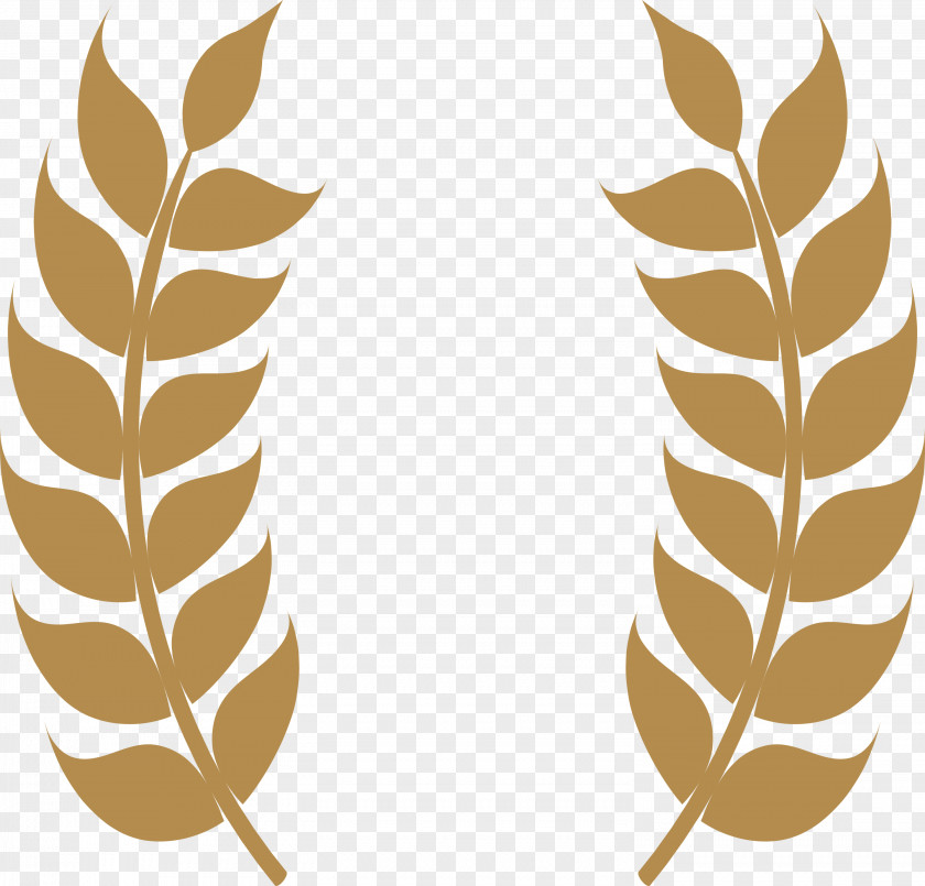 Wheat Ears PNG