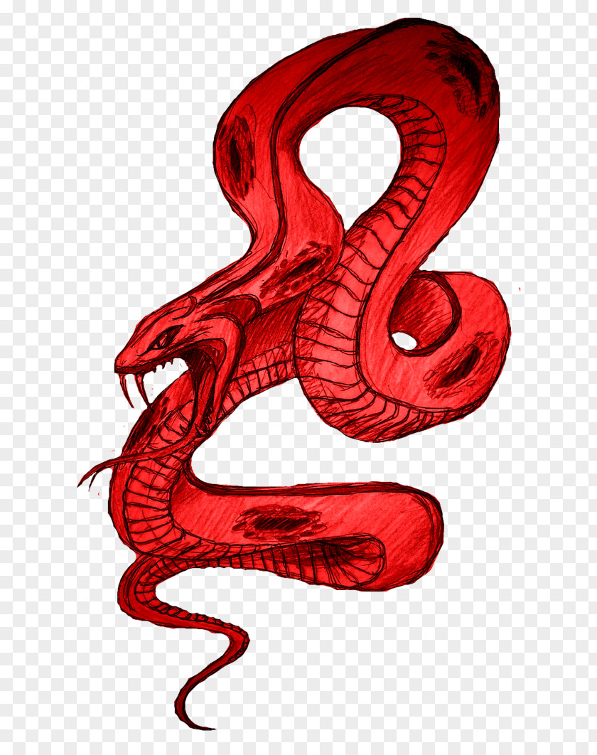 Albino Pattern Snakes Drawing Image Illustration Digital Art PNG