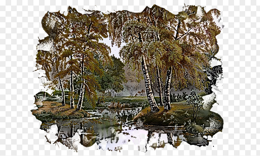 Bank Wetland Natural Landscape Nature Reserve Tree Water Rock PNG