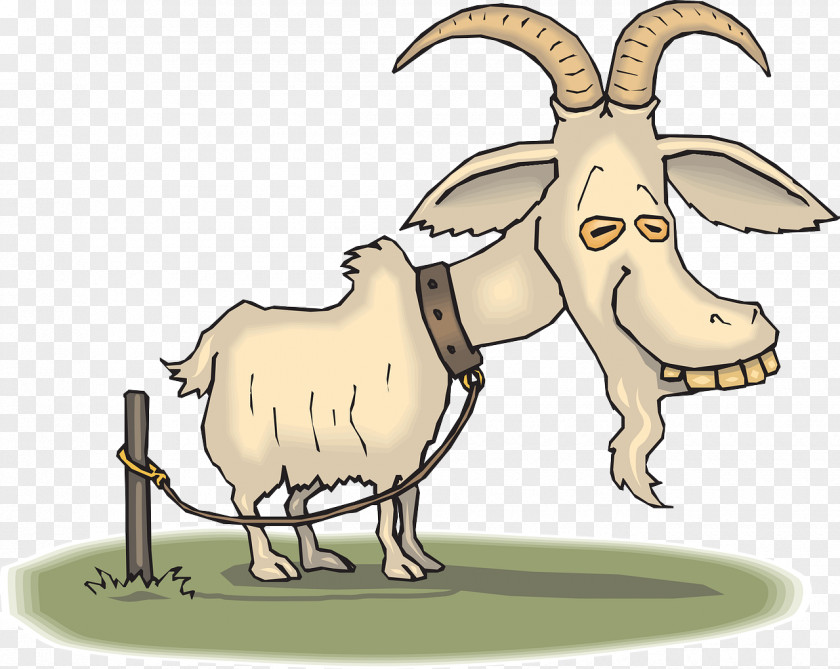 Goat Rearing Boer Angora Sheep Zazzle Clip Art PNG