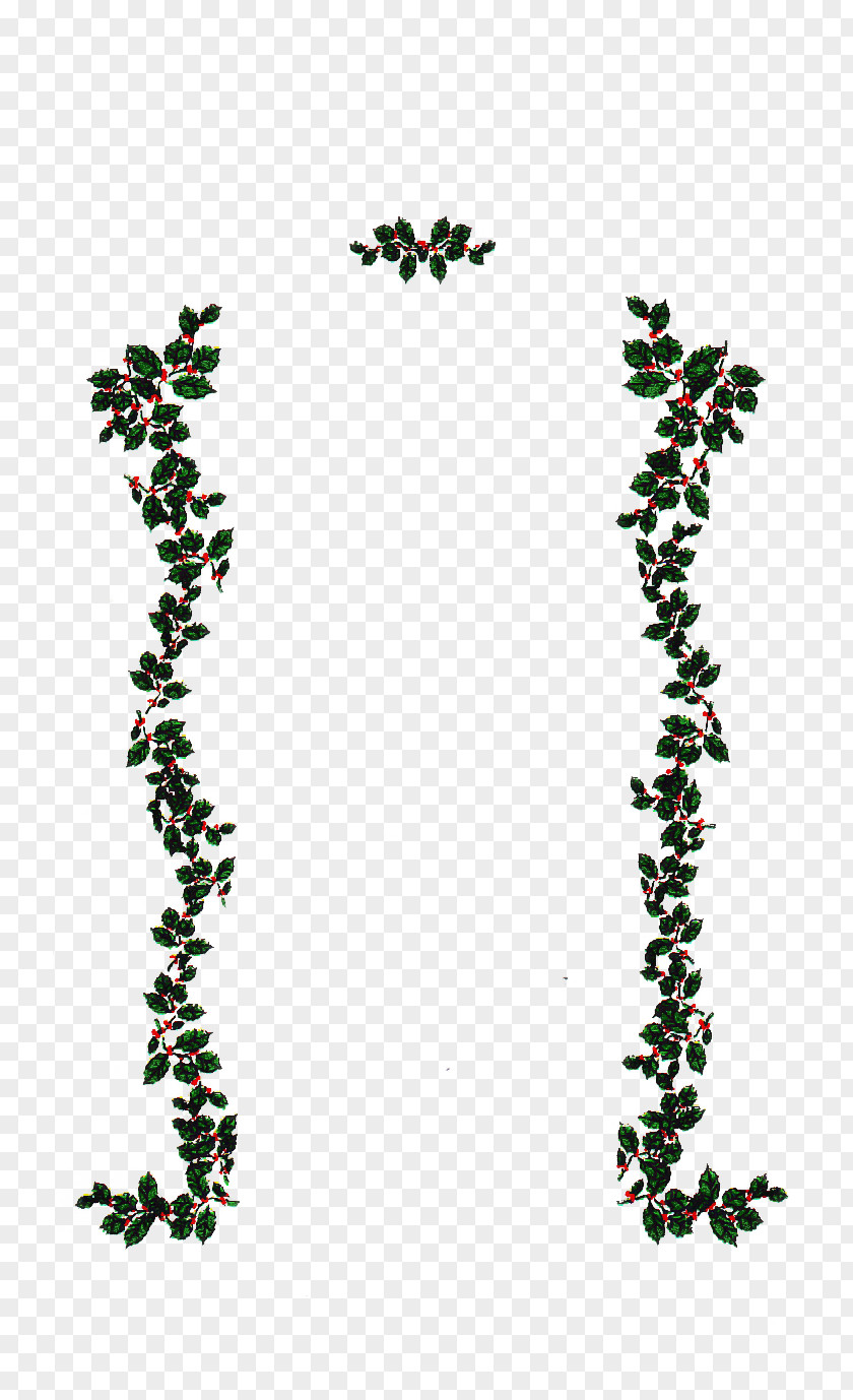 Ivy Family Holly Merry Christmas Card PNG