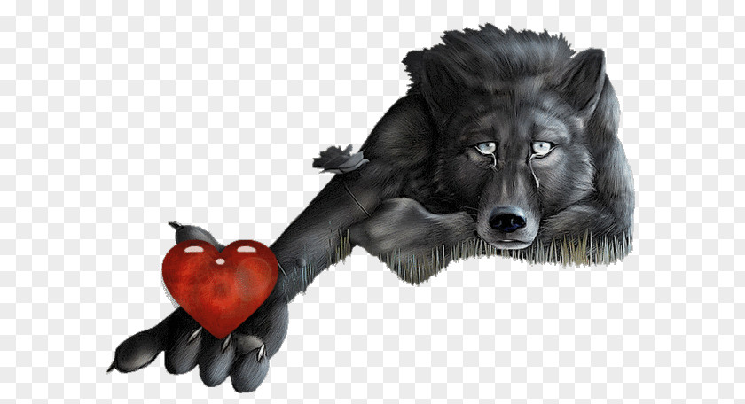 Modern Wolf Illustrations Lone Broken Heart Love PNG