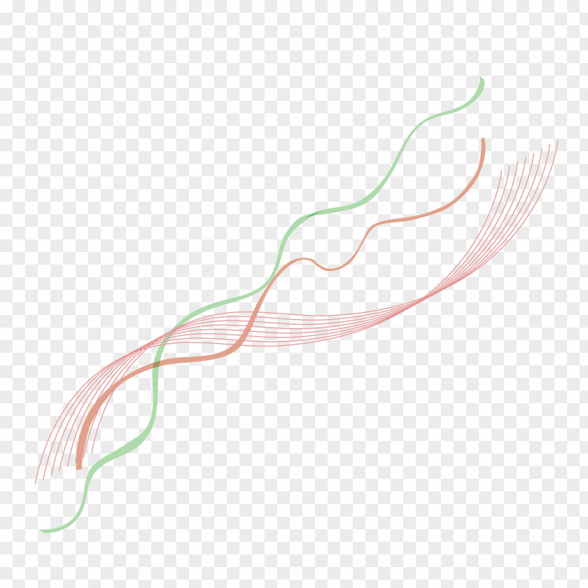 Vector Fine Wire Ribbon Olympic Streamer Games Euclidean PNG