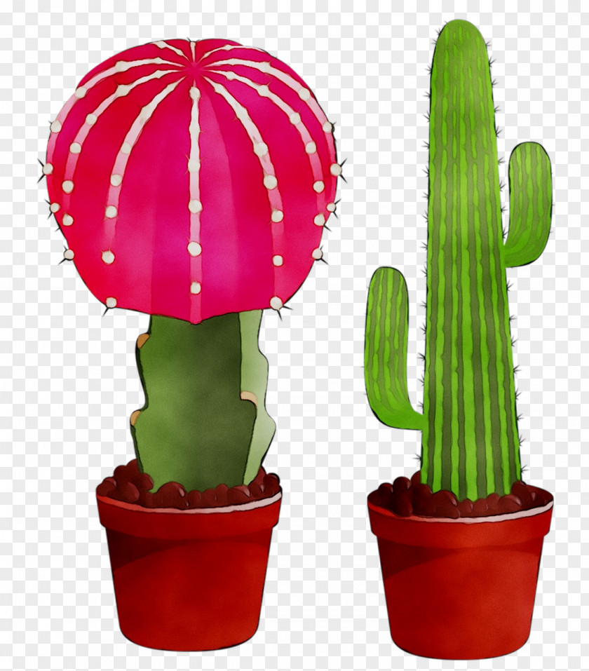 Clip Art San Pedro Cactus Image PNG