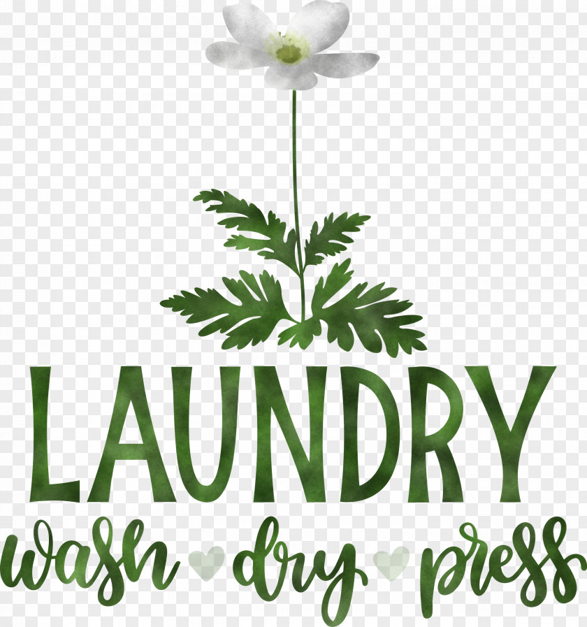 Laundry Wash Dry PNG