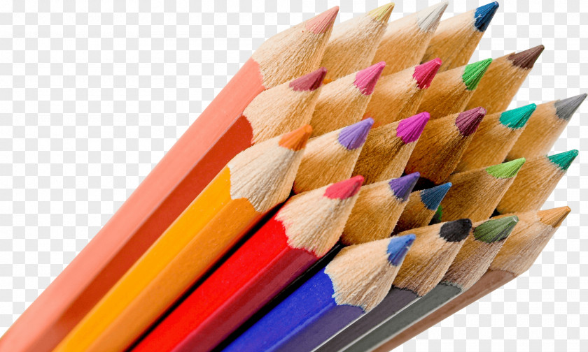 Pencils Colored Pencil Clip Art PNG