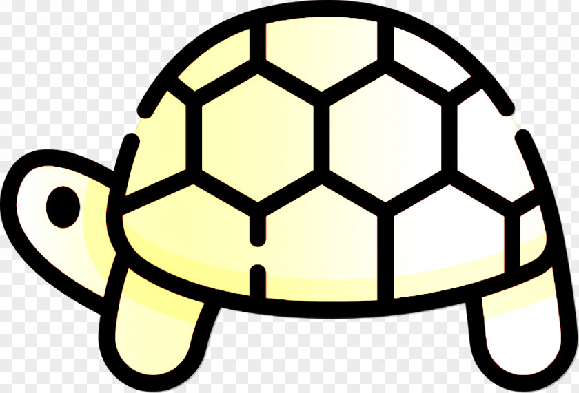 Turtle Icon Animal Animals PNG