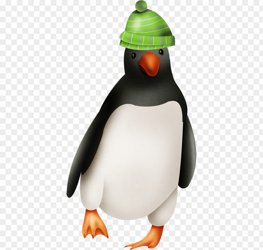 A Penguin King Razorbills PNG