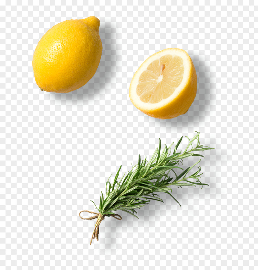 Copyright Notice Lemon Food Citron Vegetarian Cuisine Delivery PNG