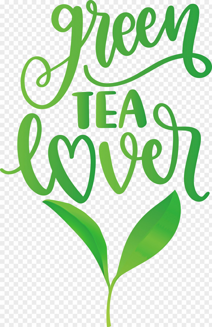 Green Tea Lover PNG