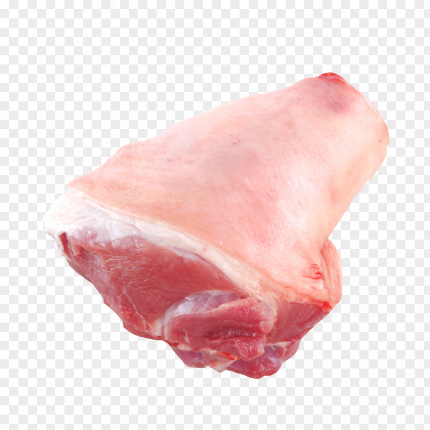 Solid Frozen Pig Elbow Domestic Ham Prosciutto Meat Pork PNG