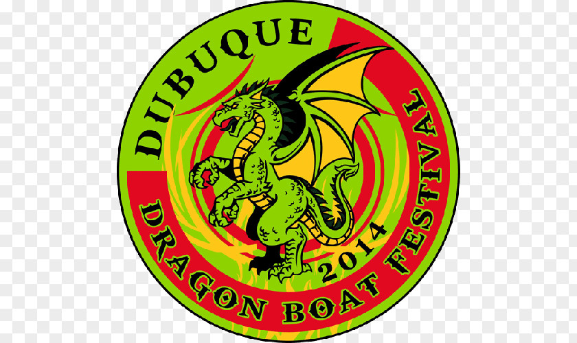 The Dragon Boat Festival British Racing Association Paddling PNG
