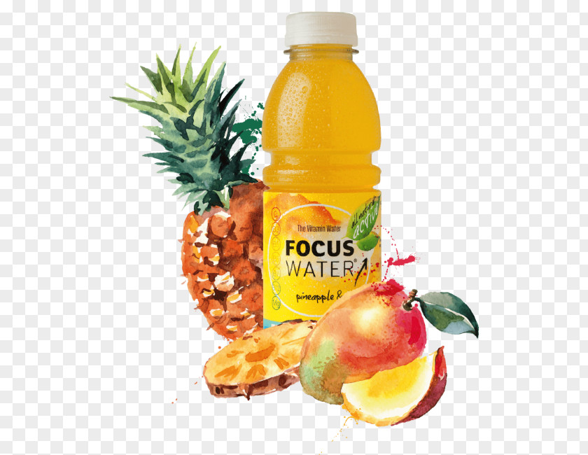 Fruit In Water Pineapple Newrest Canonica Services Burrito Food Juice PNG