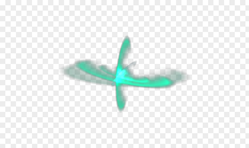 Insect Propeller PNG