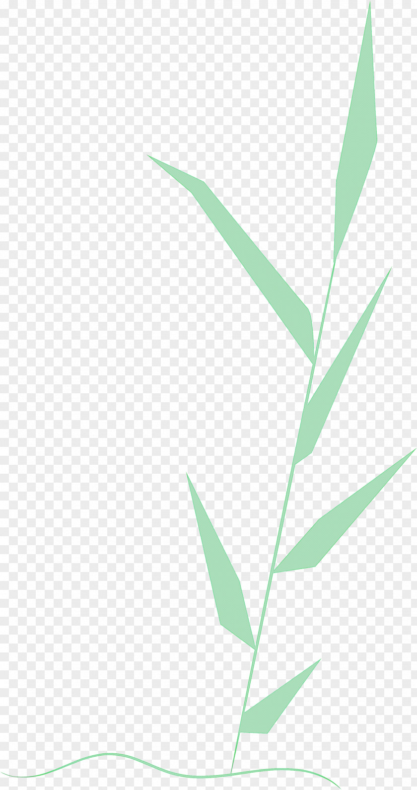 Palm Trees PNG