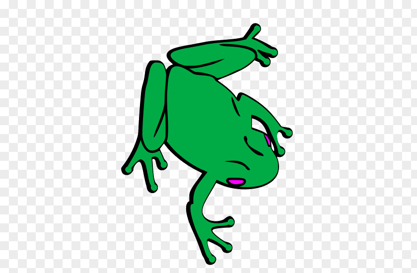 Toad Tree Frog True Canva Clip Art PNG