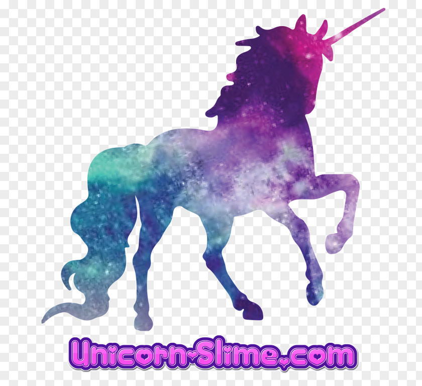 Unicorn Legendary Creature Fairy Tale Zazzle Clothing PNG