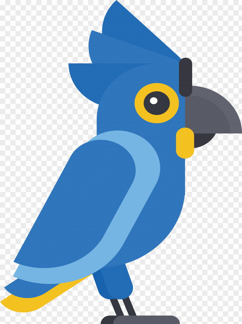 Cartoon Parrot Design Drawing PNG