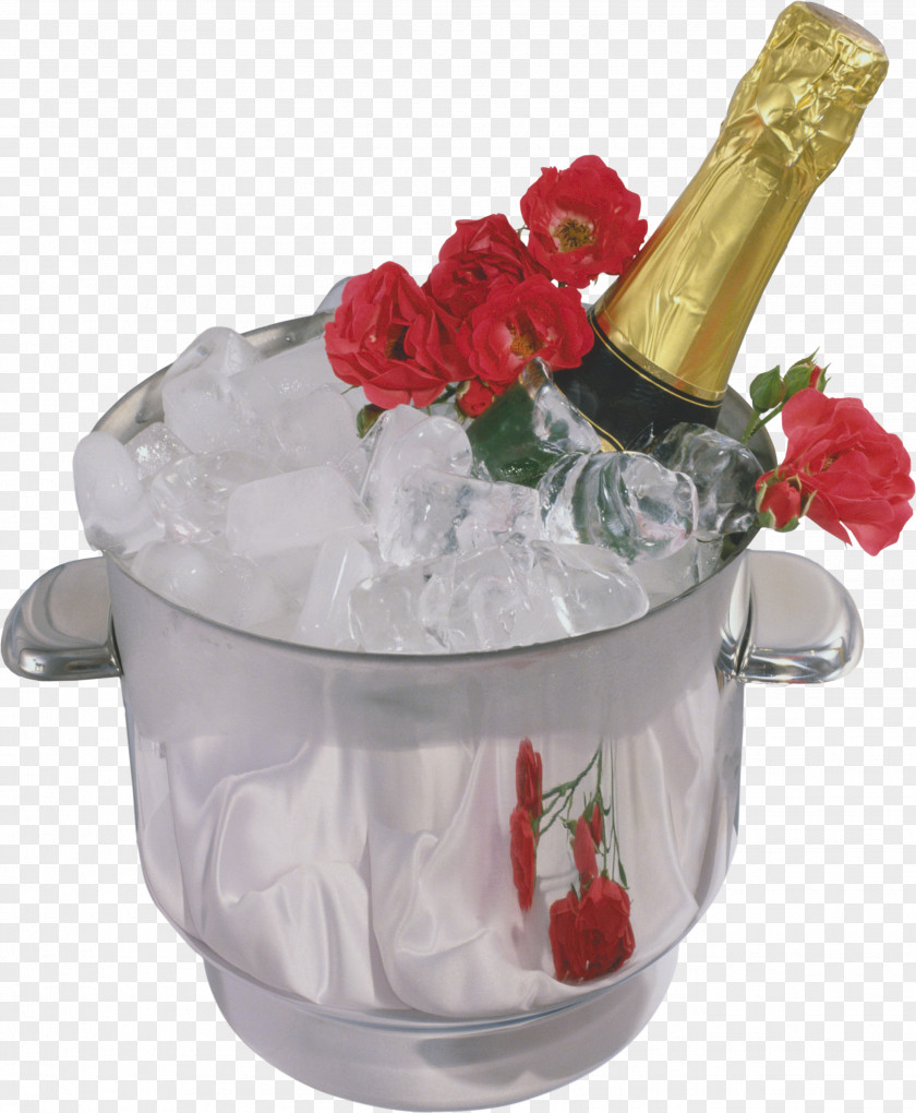 Champagne Saturday Daytime Ansichtkaart Names Of The Days Week Birthday PNG