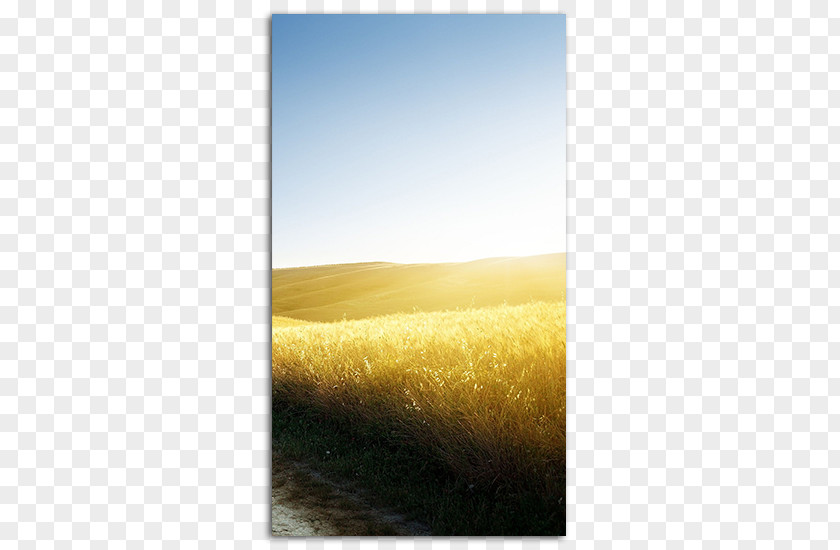 Country Road Take Me Home, Roads Desktop Wallpaper IPhone High-definition Television PNG