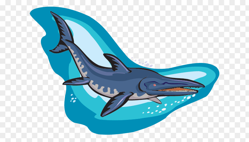 FOSSIL Common Bottlenose Dolphin Ichthyosaurus Dinosaur Fossil PNG