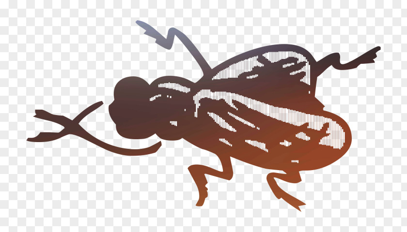 Insect Illustration Cartoon Pollinator Pest PNG