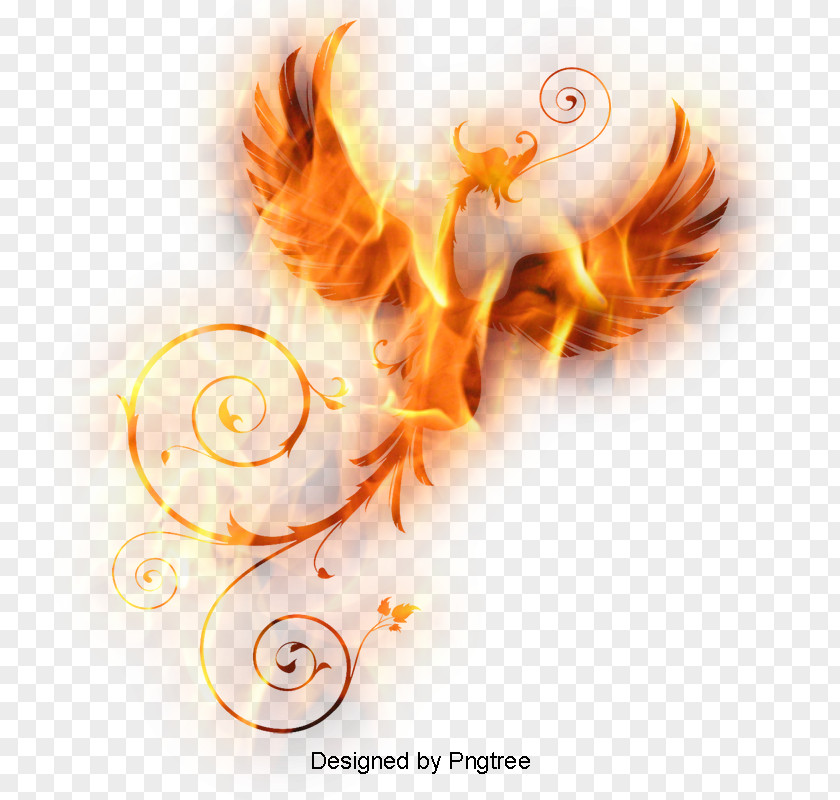 Phoenix Download Vector Graphics PNG