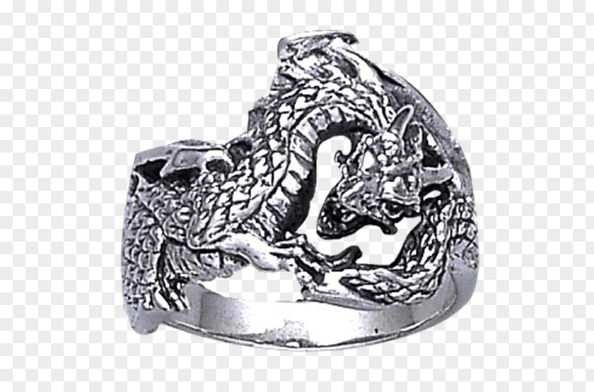 Ring Earring Silver Dragon Necklace PNG