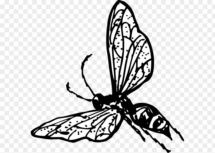 Wasp Hornet Bee Clip Art PNG