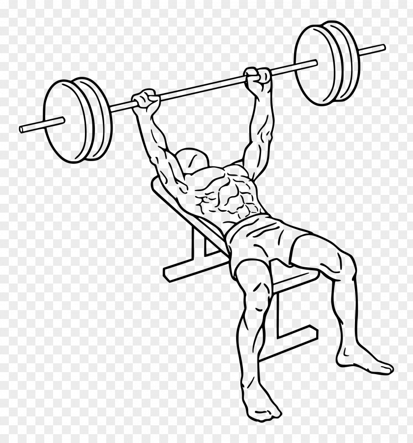 Weightlifting Bench Press Weight Training Barbell Exercise PNG