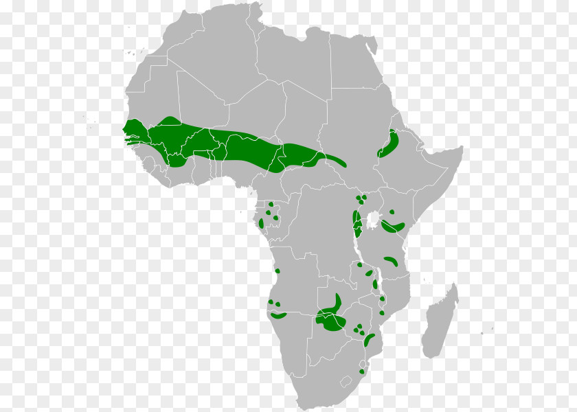 Africa Member States Of The African Union Continental Free Trade Area Southern Development Community PNG
