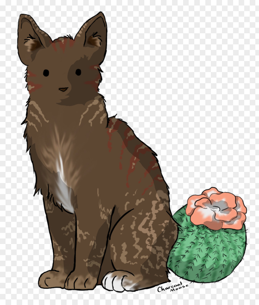 Cat Whiskers Cactus Red Fox PNG
