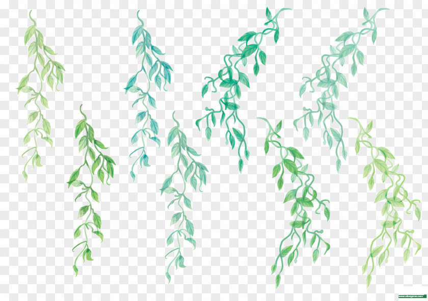 Death Twig Plant Stem Leaf Font Grasses PNG