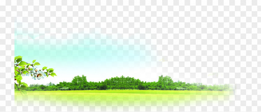 Fresh Spring Grass Lawn Land Lot Grassland Sky Wallpaper PNG