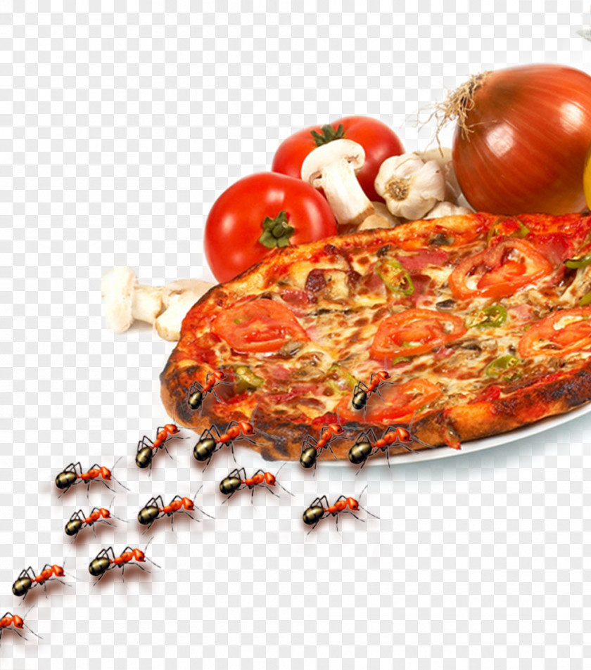 Pizza European Cuisine Italian Food PNG