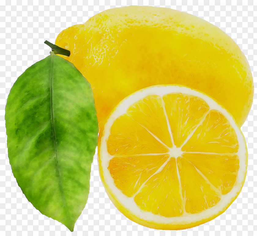 Sweet Lemon Bitter Orange Wart Citron PNG