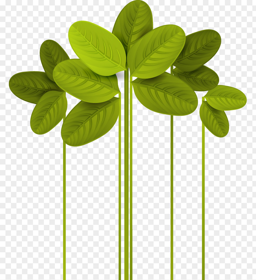 Cartoon Leaf Clover Euclidean Vector Green PNG