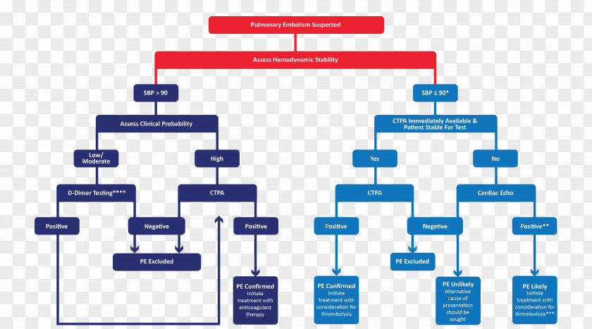 Design Brand Organization Diagram PNG