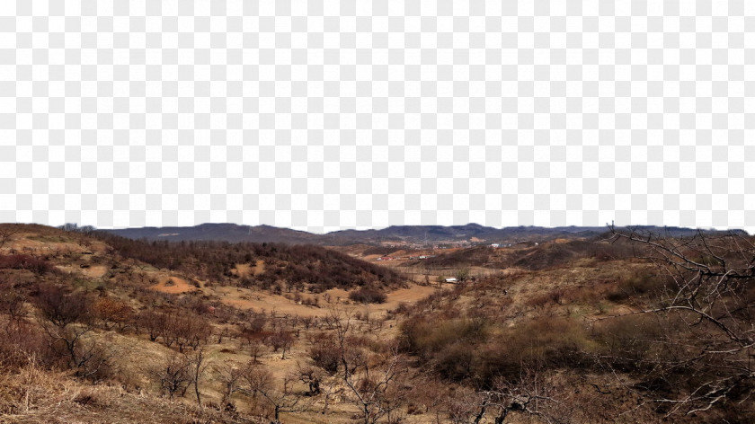 Desolate Loess Heap Soil PNG