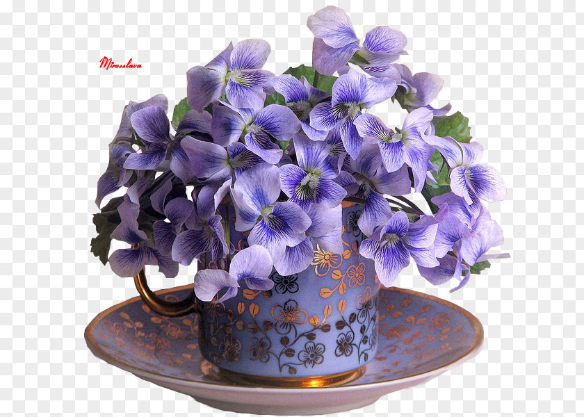 Flower Pictorial Carpet Floral Design Vase Machine-Woven PNG