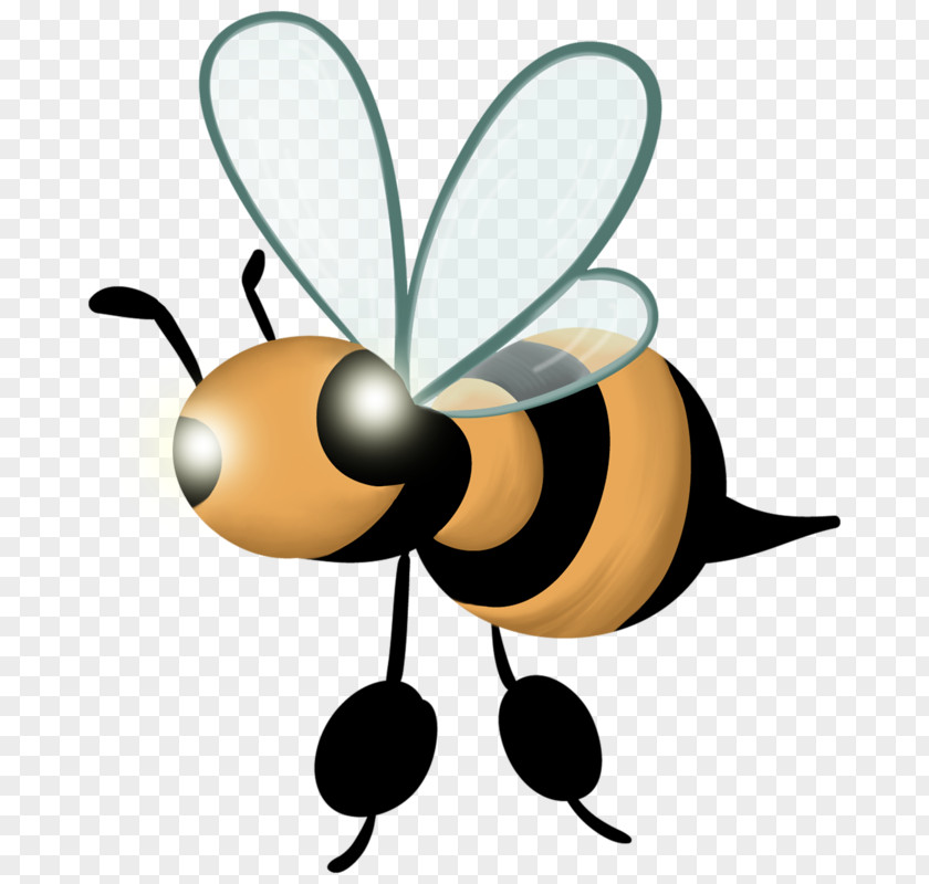 Hand-painted Flies Bee PNG