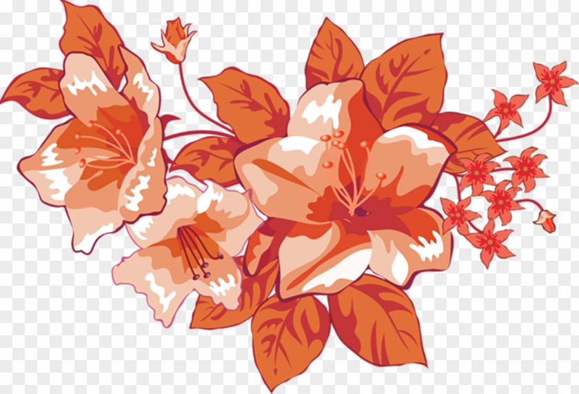 Orange Flower Decoration Floral Design PNG