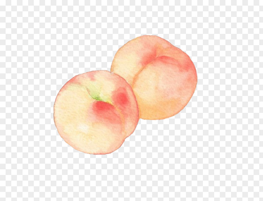 Watercolor Peaches Princess Peach Painting Drawing PNG
