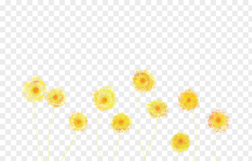 Dandelion Yellow Flower Blue Orange PNG