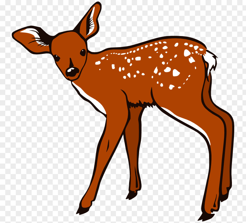 Deer White-tailed Moose Clip Art PNG