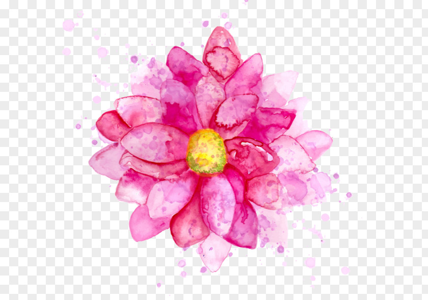 Flower Watercolour Flowers Watercolor Painting Floral Design PNG