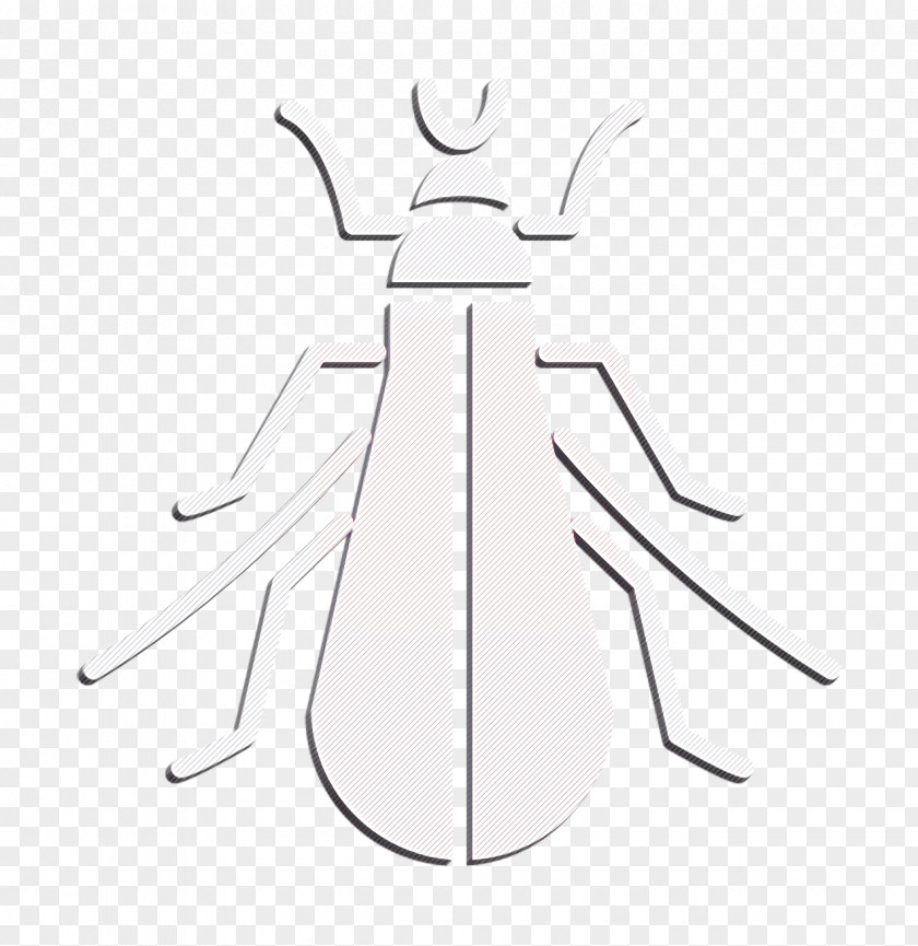 Insects Icon Tree Cricket PNG
